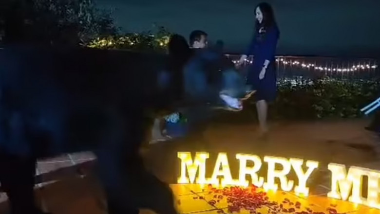 Photo of video | Momentul în care un urs întrerupe o cerere în căsătorie